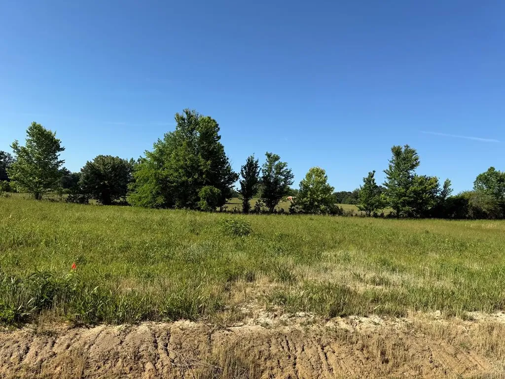 Lot 67 Regan Loop Baxter TN 38544