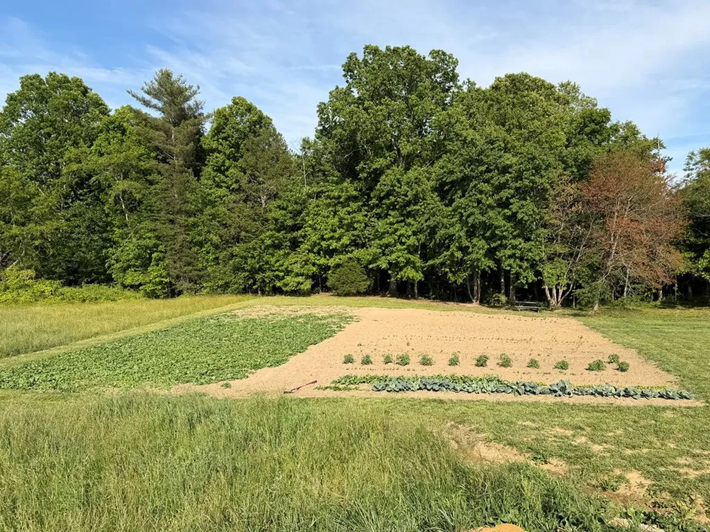 110 Don Conatser Road Allardt TN 38556