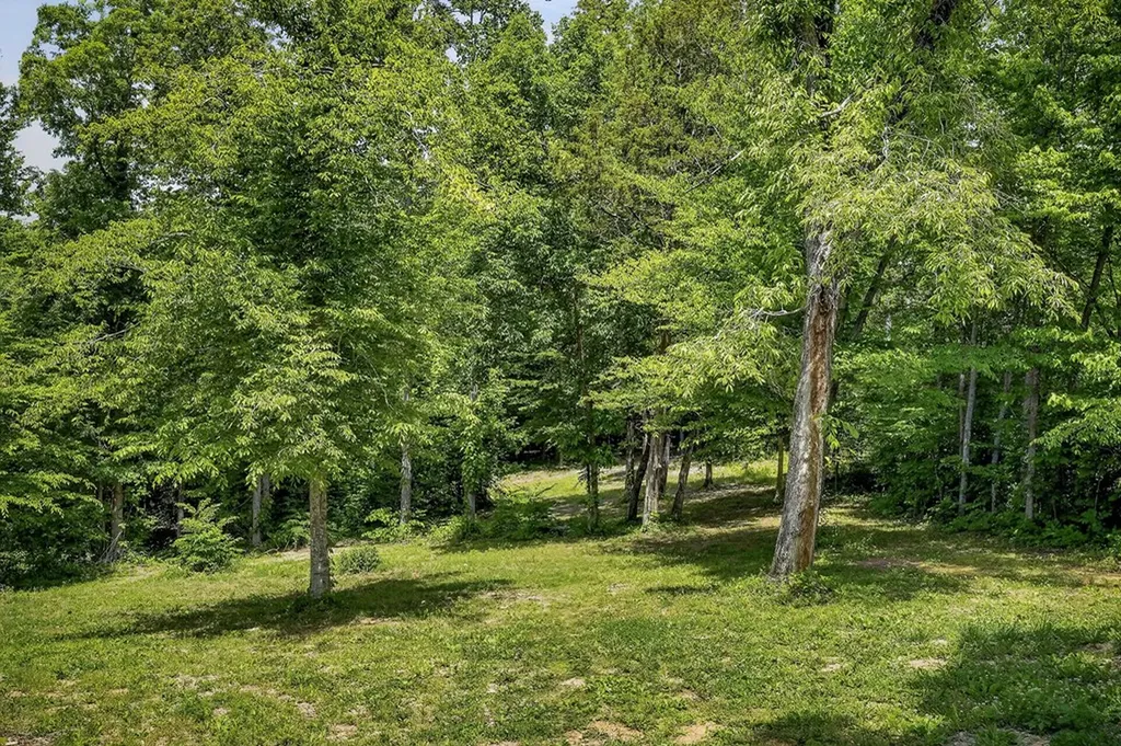 278 Pleasant Hill Road Allons TN 38541