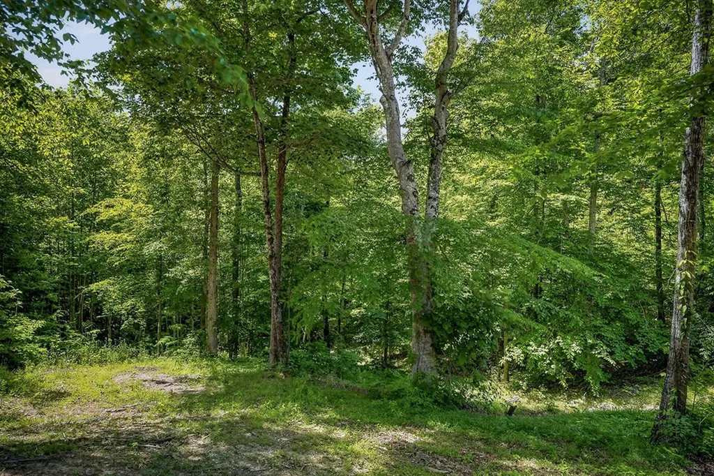 278 Pleasant Hill Road Allons TN 38541