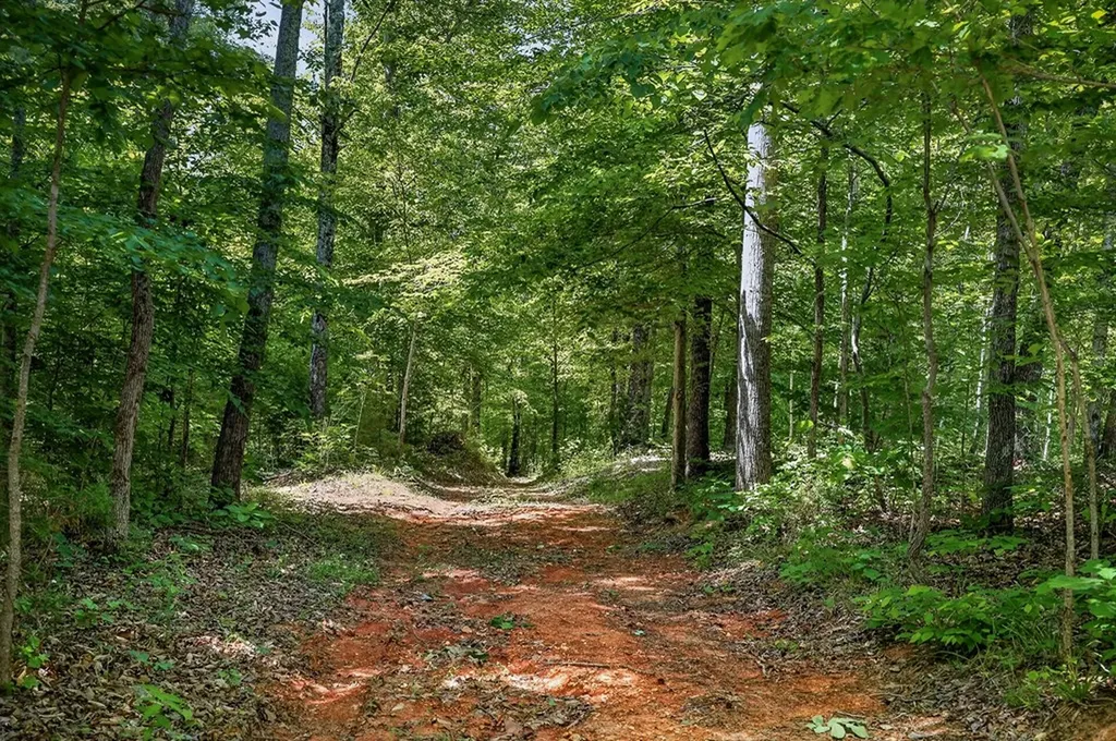 278 Pleasant Hill Road Allons TN 38541
