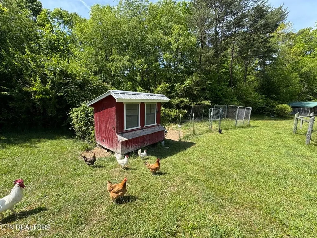 4455 Jonesville Road Clarkrange TN 38553-5119