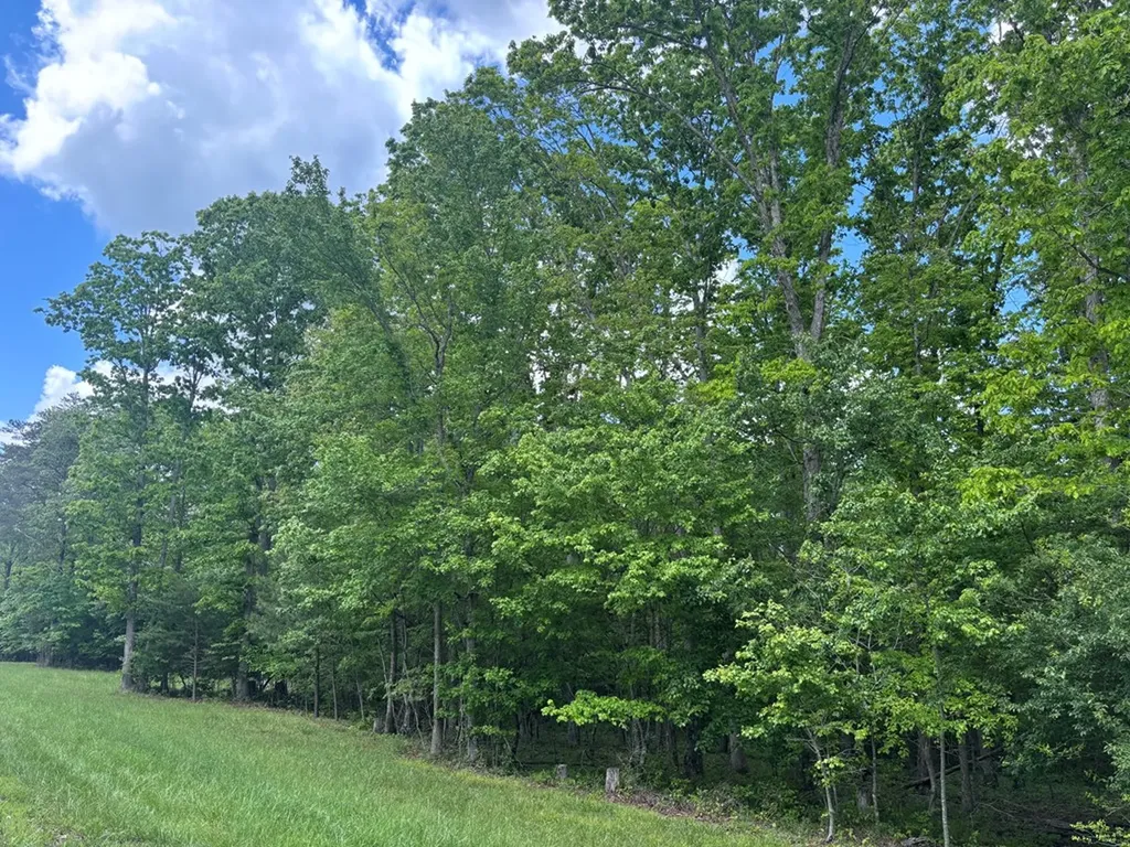 6.05 Ac Saddle Lane Spencer TN 38585