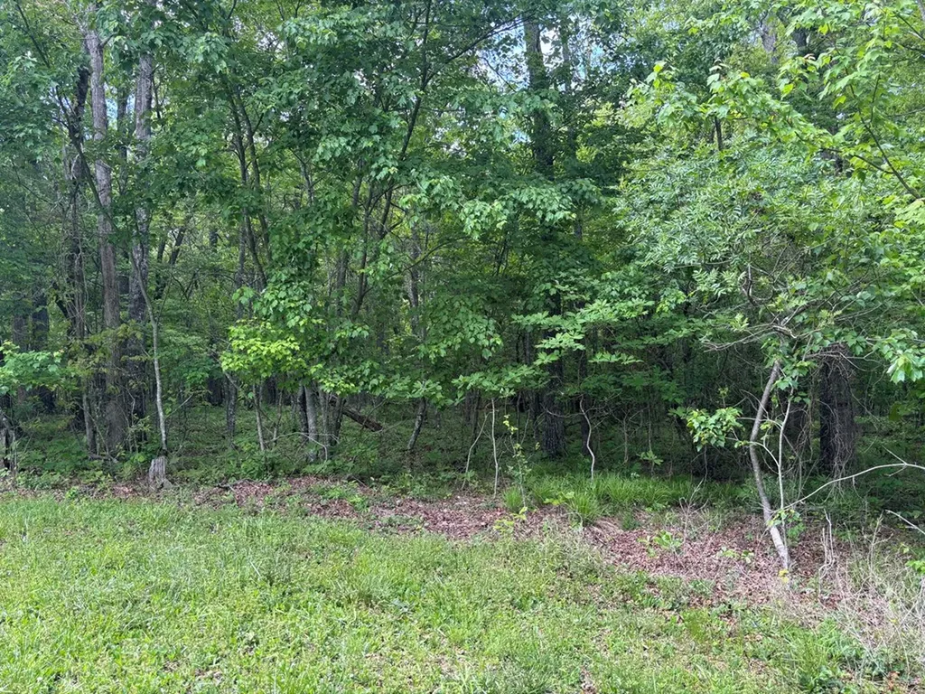 6.05 Ac Saddle Lane Spencer TN 38585