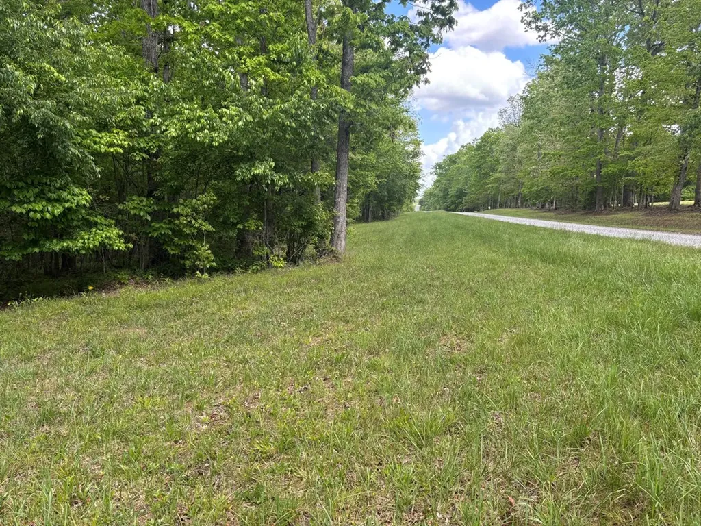 6.05 Ac Saddle Lane Spencer TN 38585