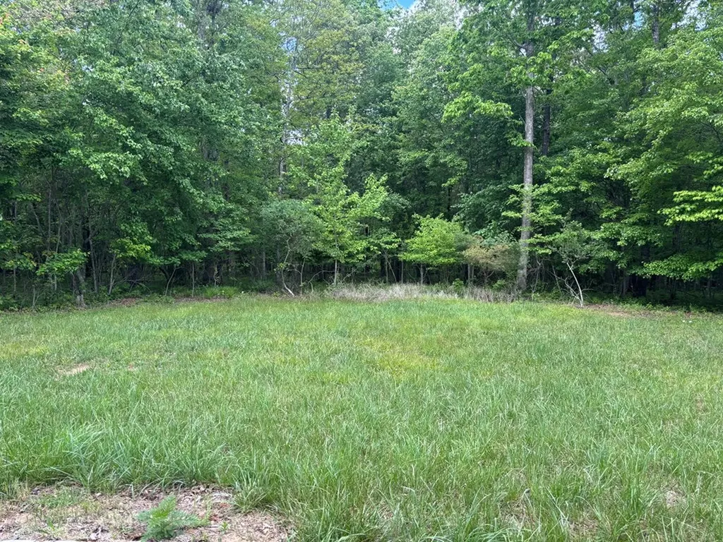 6.05 Ac Saddle Lane Spencer TN 38585