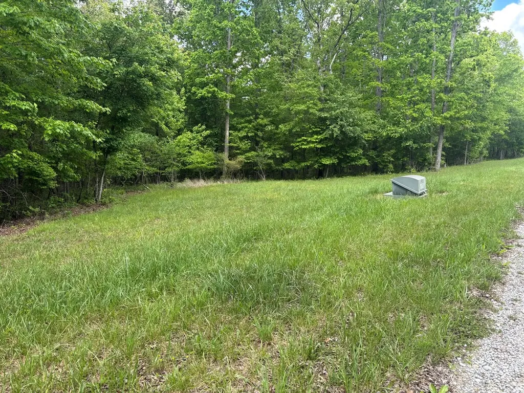 6.05 Ac Saddle Lane Spencer TN 38585