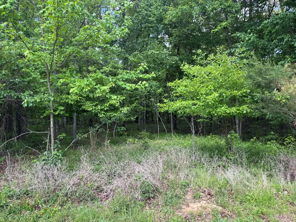6.05 Ac Saddle Lane Spencer TN 38585