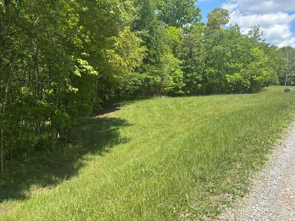 6.8 Acre Saddle Lane Spencer TN 38585