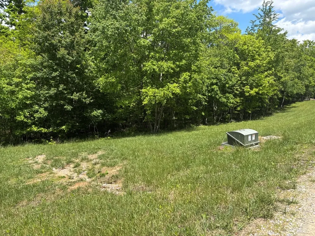 6.8 Acre Saddle Lane Spencer TN 38585