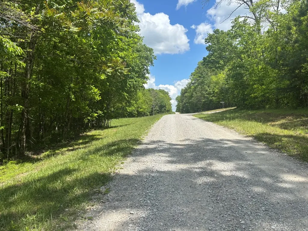 6.8 Acre Saddle Lane Spencer TN 38585