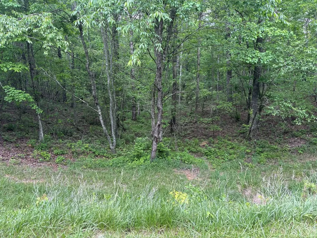 6.8 Acre Saddle Lane Spencer TN 38585