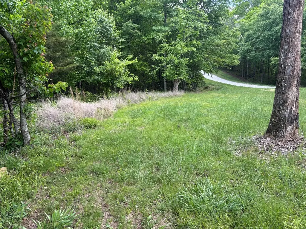 6.8 Acre Saddle Lane Spencer TN 38585