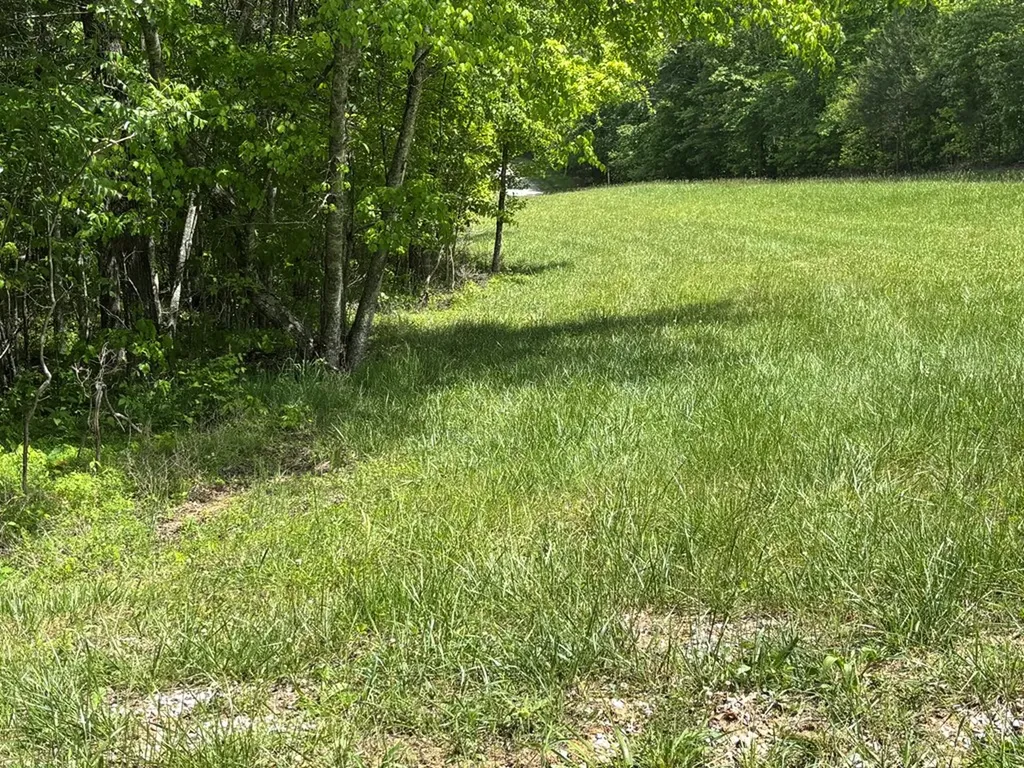 6.8 Acre Saddle Lane Spencer TN 38585