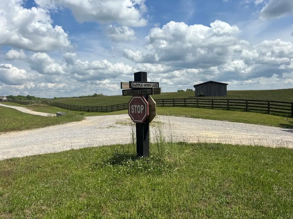 4.3 Acre Saddle Lane Spencer TN 38585