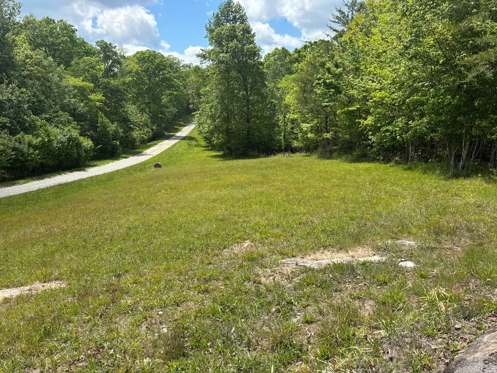4.3 Acre Saddle Lane Spencer TN 38585