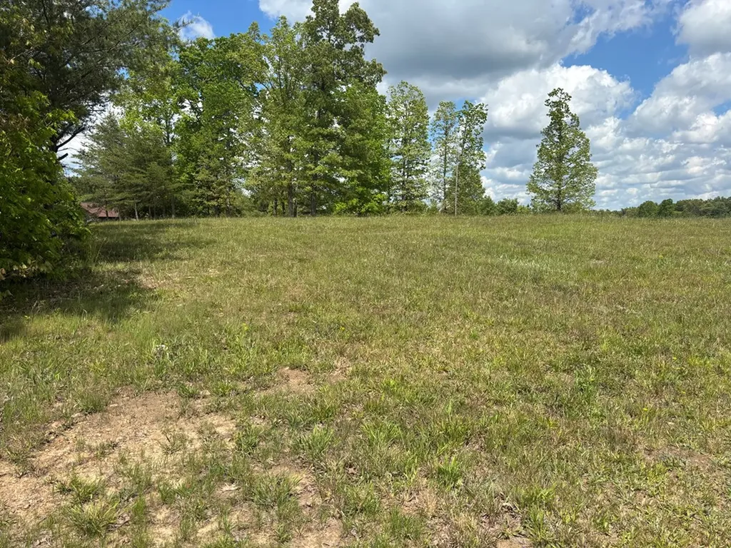4.3 Acre Saddle Lane Spencer TN 38585
