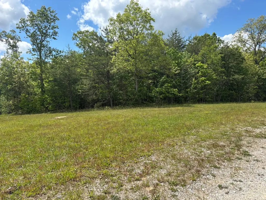 4.3 Acre Saddle Lane Spencer TN 38585