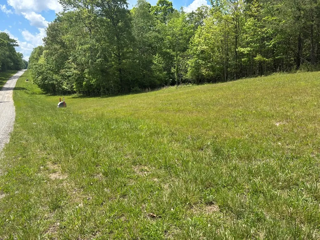 4.3 Acre Saddle Lane Spencer TN 38585