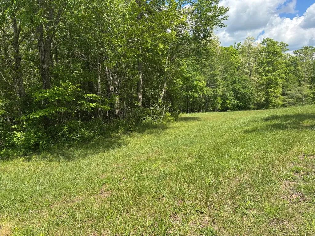 5.72 Ac Saddle Lane Spencer TN 38585