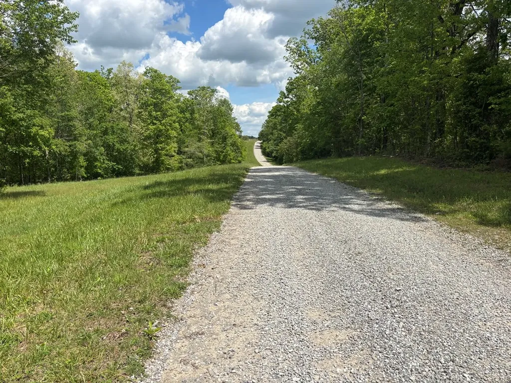 5.72 Ac Saddle Lane Spencer TN 38585