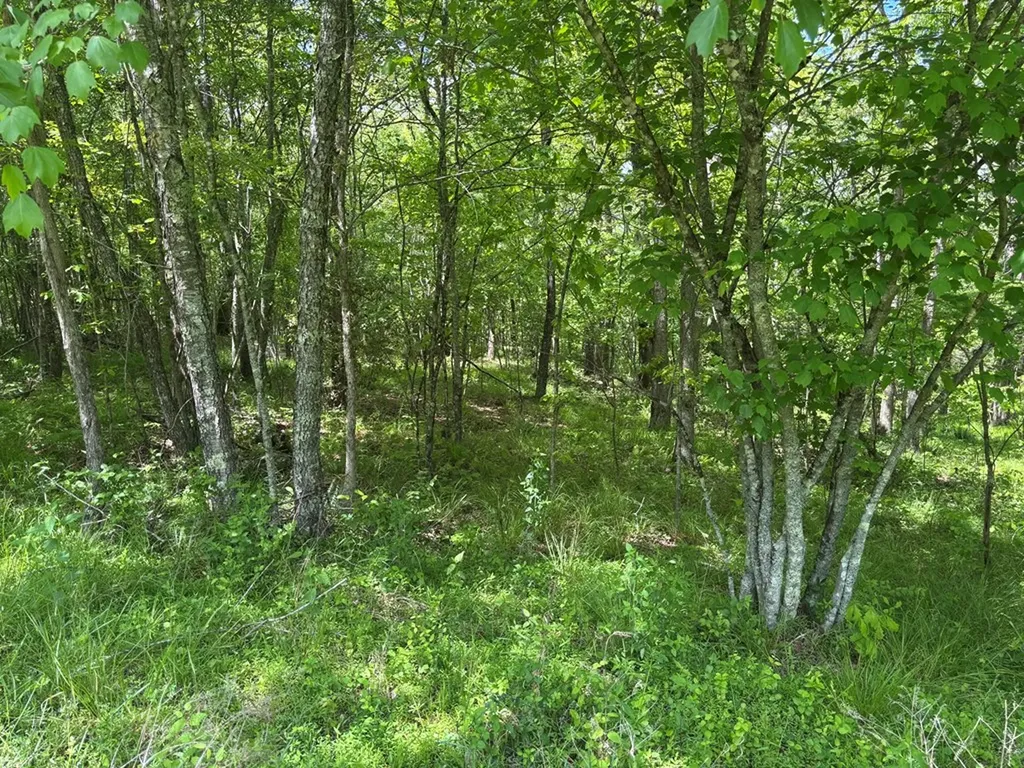 5.72 Ac Saddle Lane Spencer TN 38585