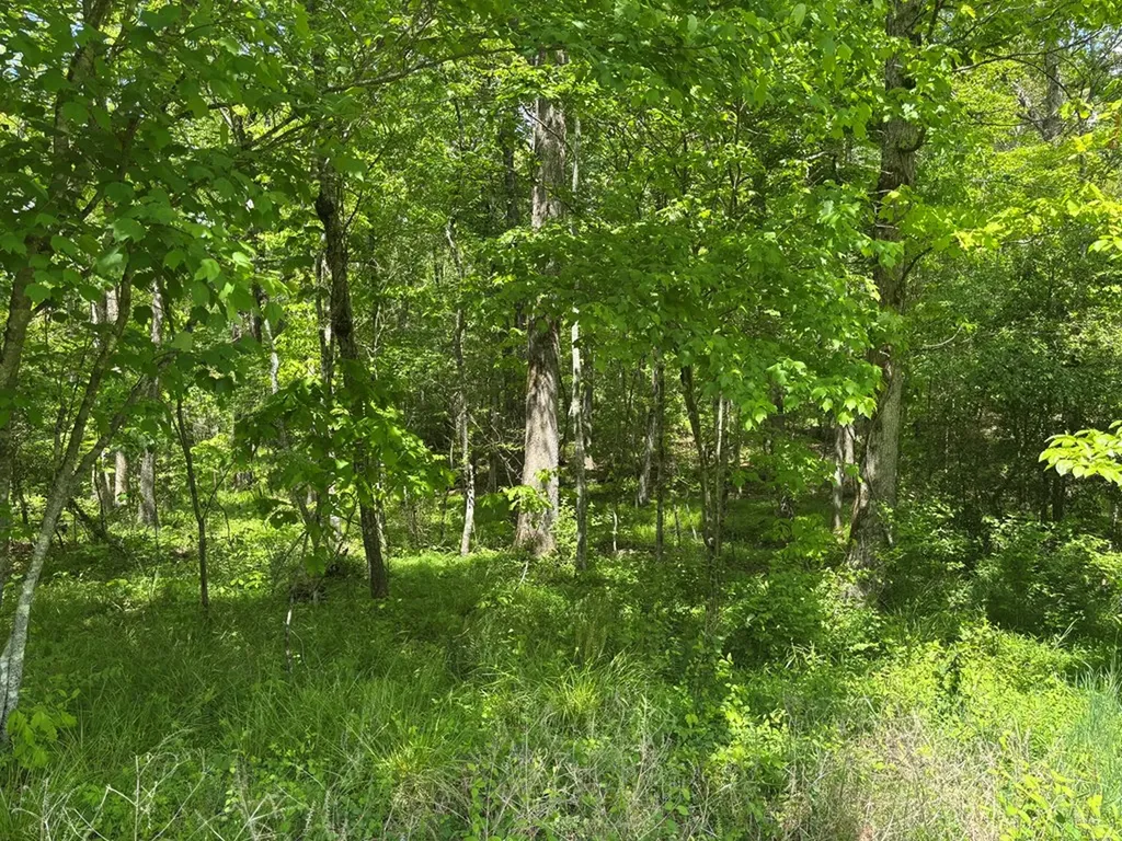 5.72 Ac Saddle Lane Spencer TN 38585