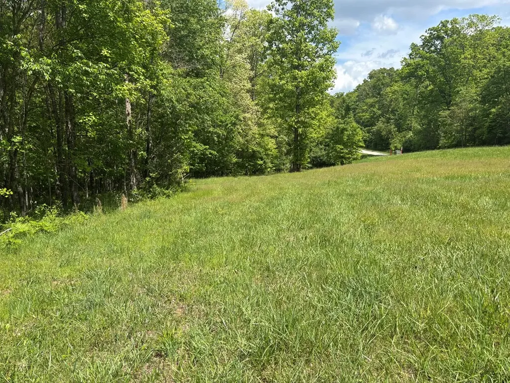 5.72 Ac Saddle Lane Spencer TN 38585