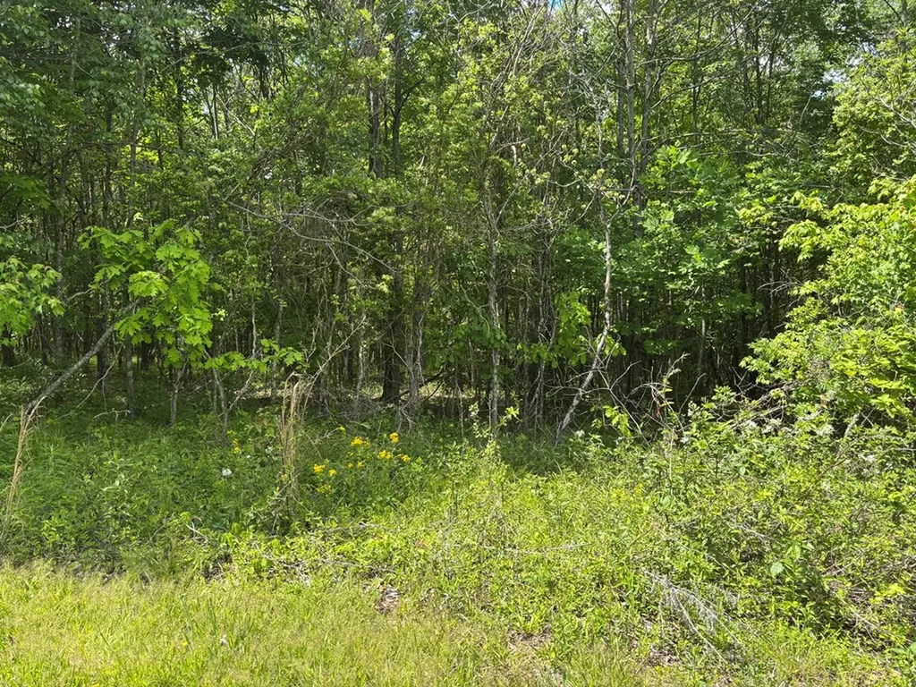 5.72 Ac Saddle Lane Spencer TN 38585