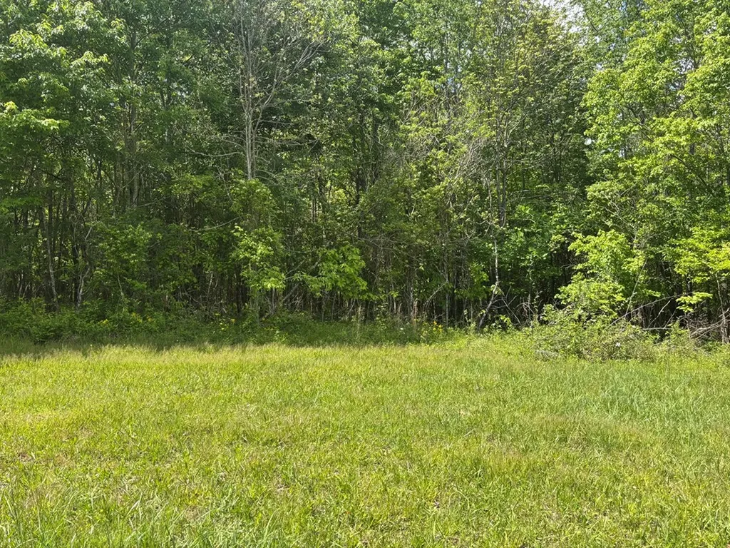 5.72 Ac Saddle Lane Spencer TN 38585