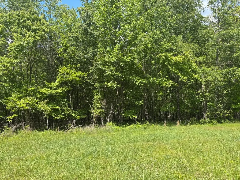 5.72 Ac Saddle Lane Spencer TN 38585
