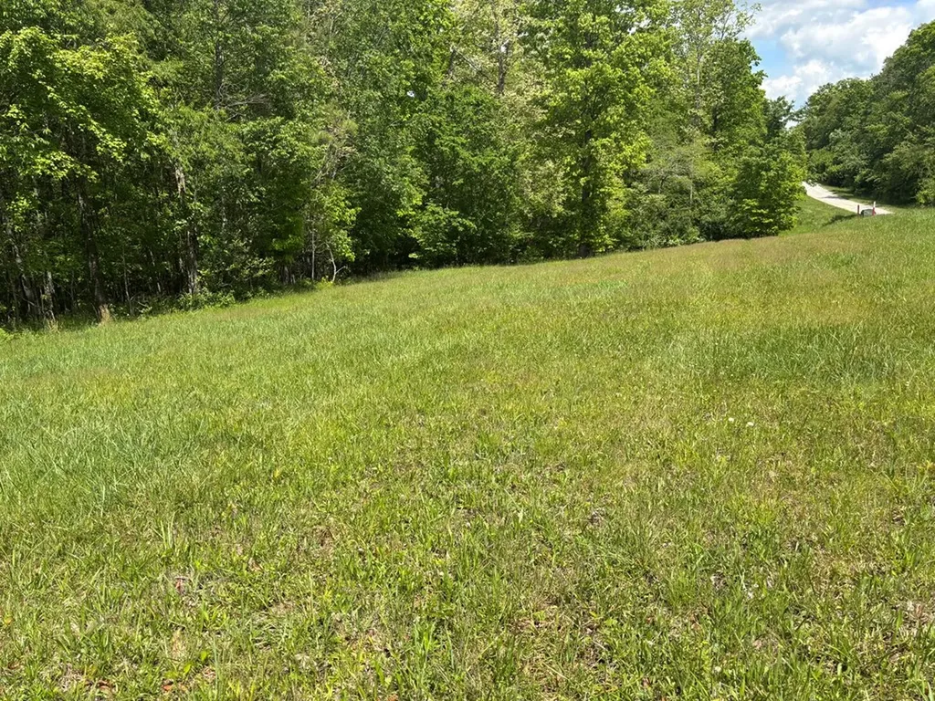 5.72 Ac Saddle Lane Spencer TN 38585