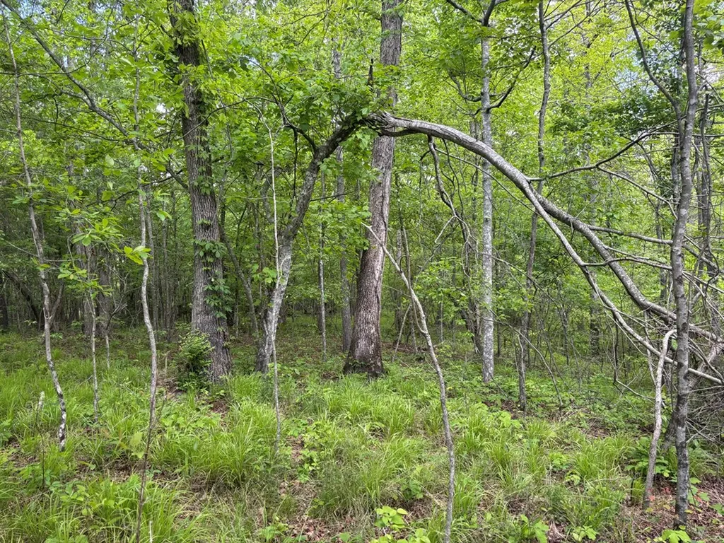 5.71 Ac Saddle Lane Spencer TN 38585