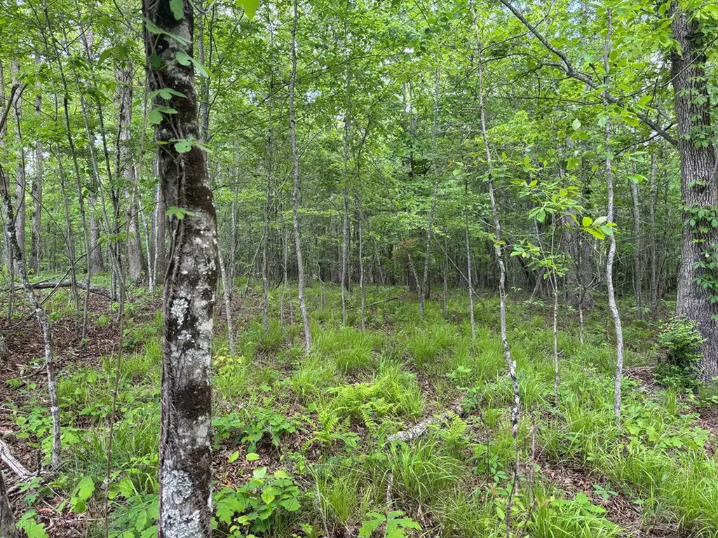 5.71 Ac Saddle Lane Spencer TN 38585