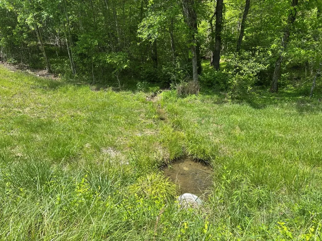 5.71 Ac Saddle Lane Spencer TN 38585