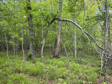 5.71 AC Saddle Lane Spencer TN 38585
