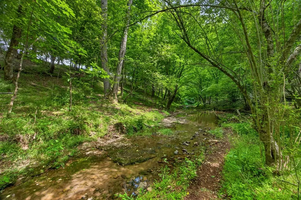 00 Ball Hill Road Baxter TN 38544