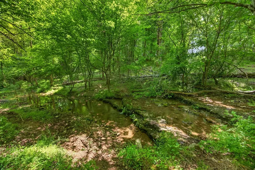 00 Ball Hill Road Baxter TN 38544