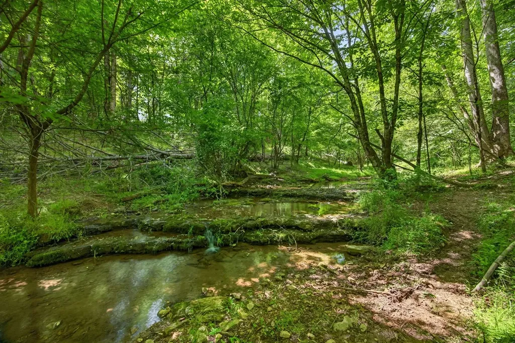 00 Ball Hill Road Baxter TN 38544
