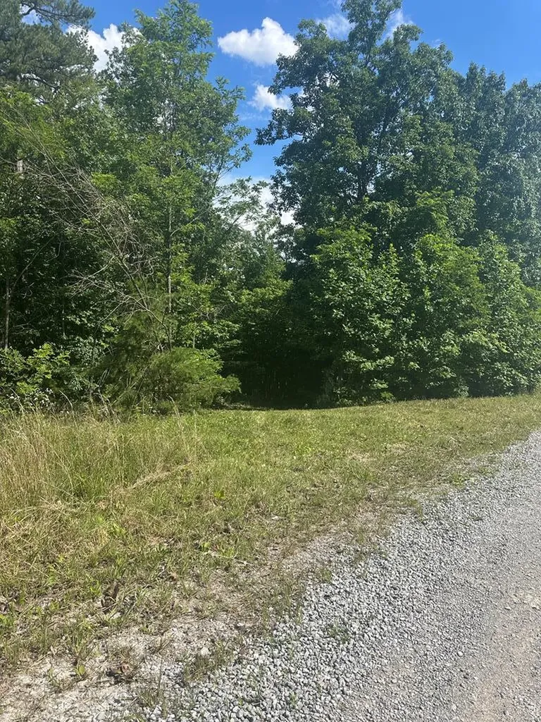 Lot 2 Buckeye Lane Wilder TN 38589