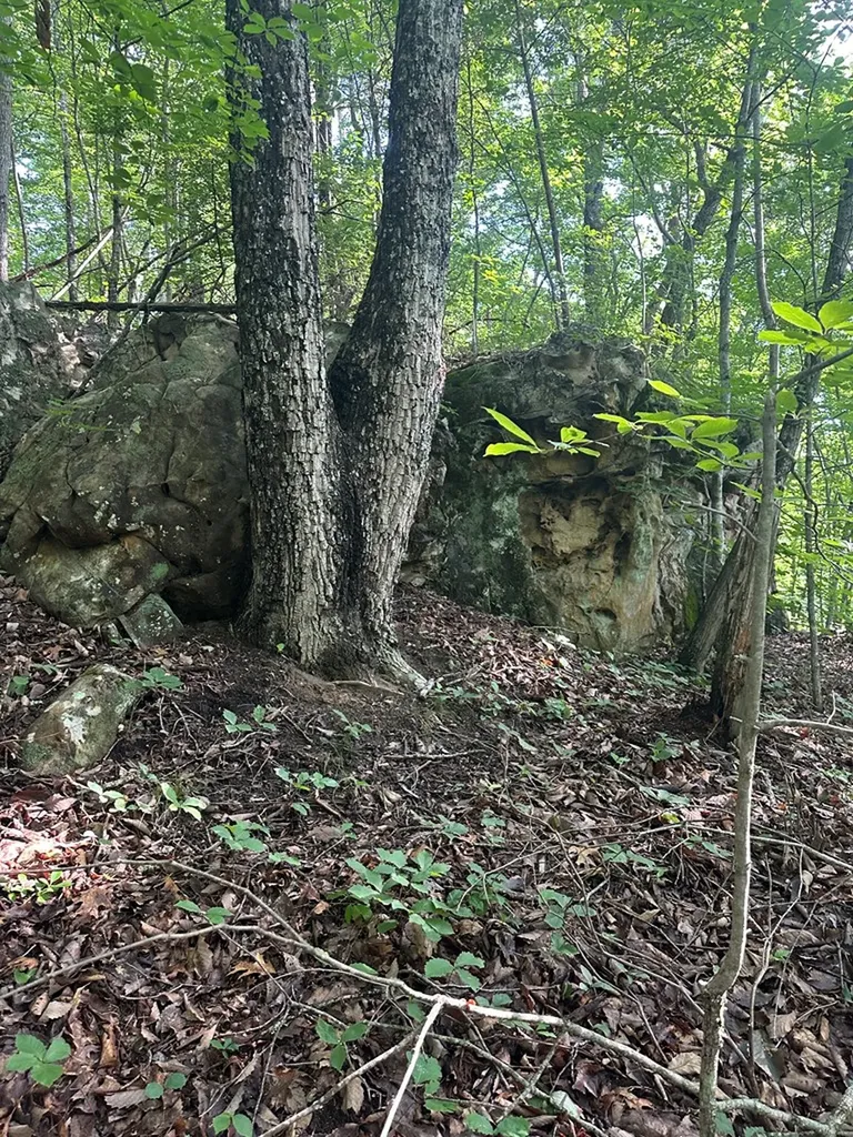 Lot 2 Buckeye Lane Wilder TN 38589