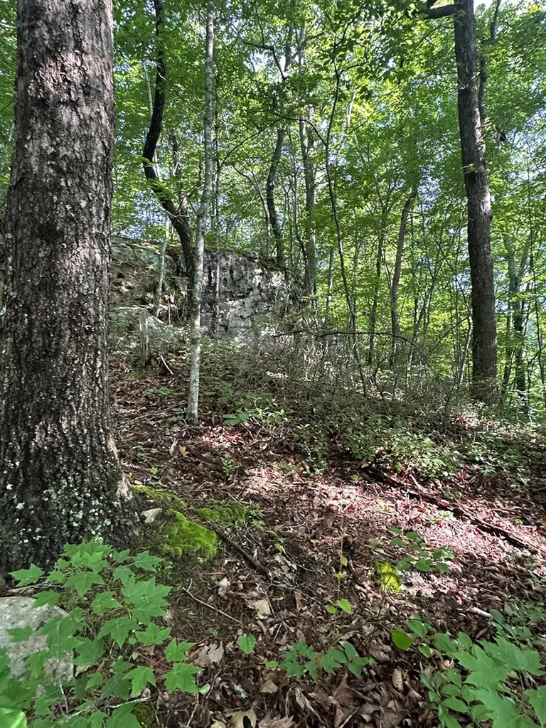 Lot 2 Buckeye Lane Wilder TN 38589