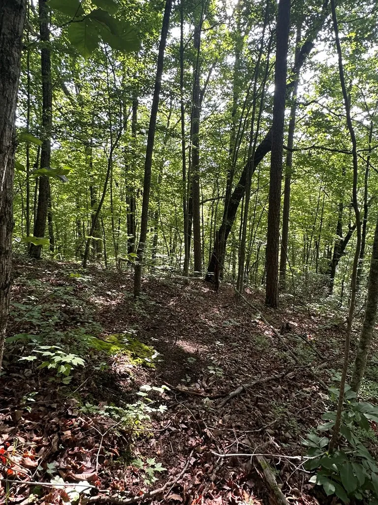 Lot 2 Buckeye Lane Wilder TN 38589