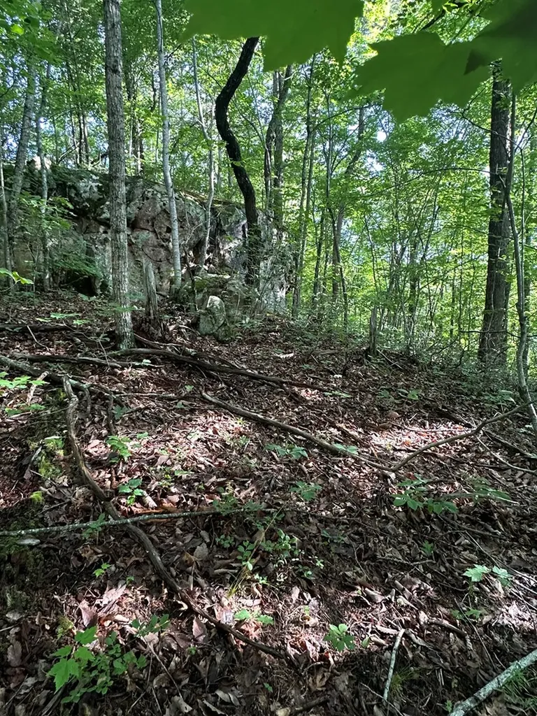 Lot 2 Buckeye Lane Wilder TN 38589