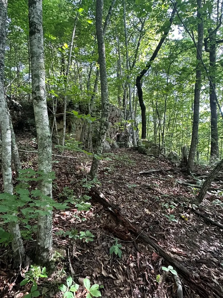 Lot 2 Buckeye Lane Wilder TN 38589