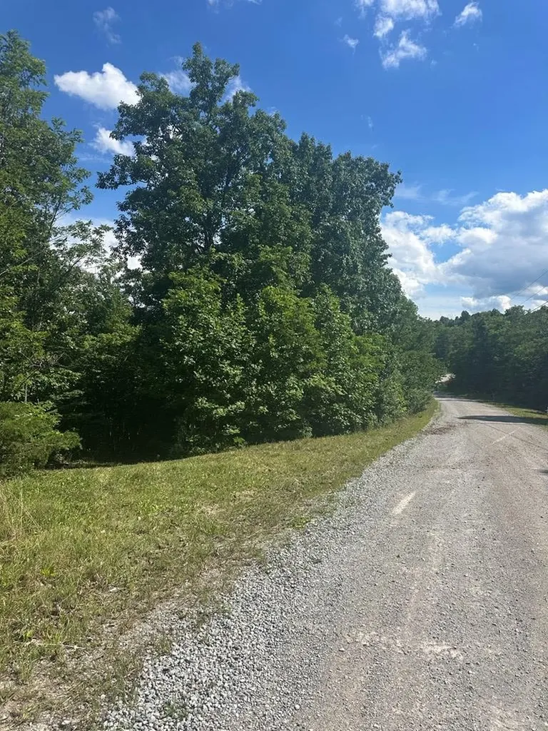 Lot 2 Buckeye Lane Wilder TN 38589