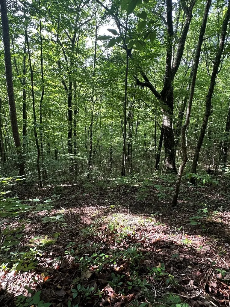 Lot 2 Buckeye Lane Wilder TN 38589