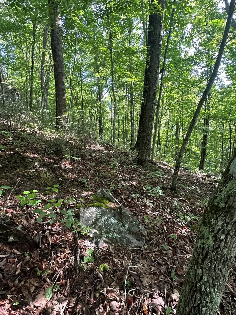 Lot 2 Buckeye Lane Wilder TN 38589