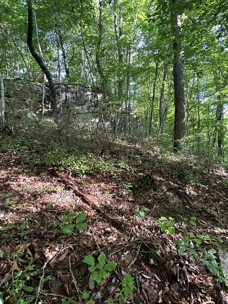 Lot 2 Buckeye Lane Wilder TN 38589