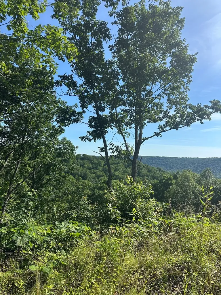 Lot 2 Buckeye Lane Wilder TN 38589